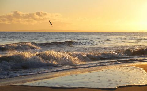 Ostsee im Herbst – Magische Natur und frische Meeresbrisen
