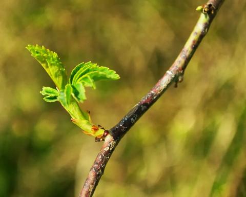 Wir haben ein Herz für die Umwelt