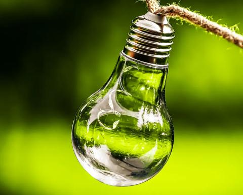 Wir haben ein Herz für die Umwelt