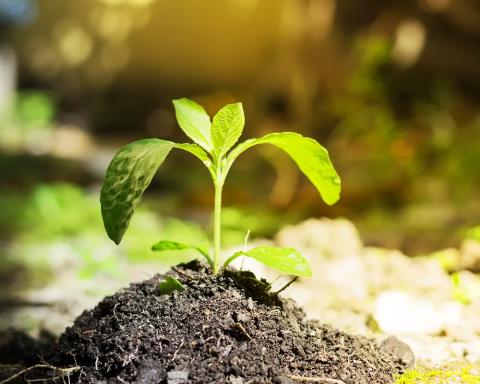 Wir haben ein Herz für die Umwelt